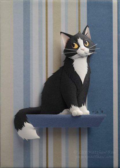 Tuxedo Cat 4/18 (2018)